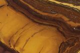 Polished Desert Sunset Banded Iron Section - Western Australia #240070-1